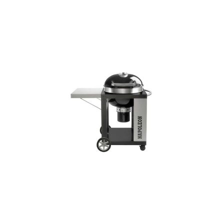 NAPOLEON Rodeo Professional Kettle